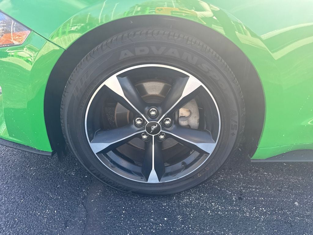 2019 Ford Mustang EcoBoost