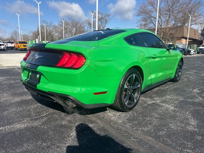 2019 Ford Mustang EcoBoost