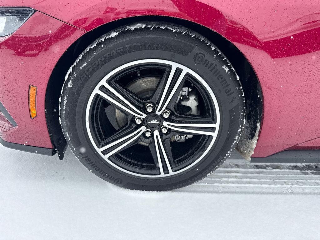 2025 Ford Mustang EcoBoost Premium