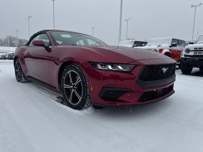 2025 Ford Mustang EcoBoost Premium