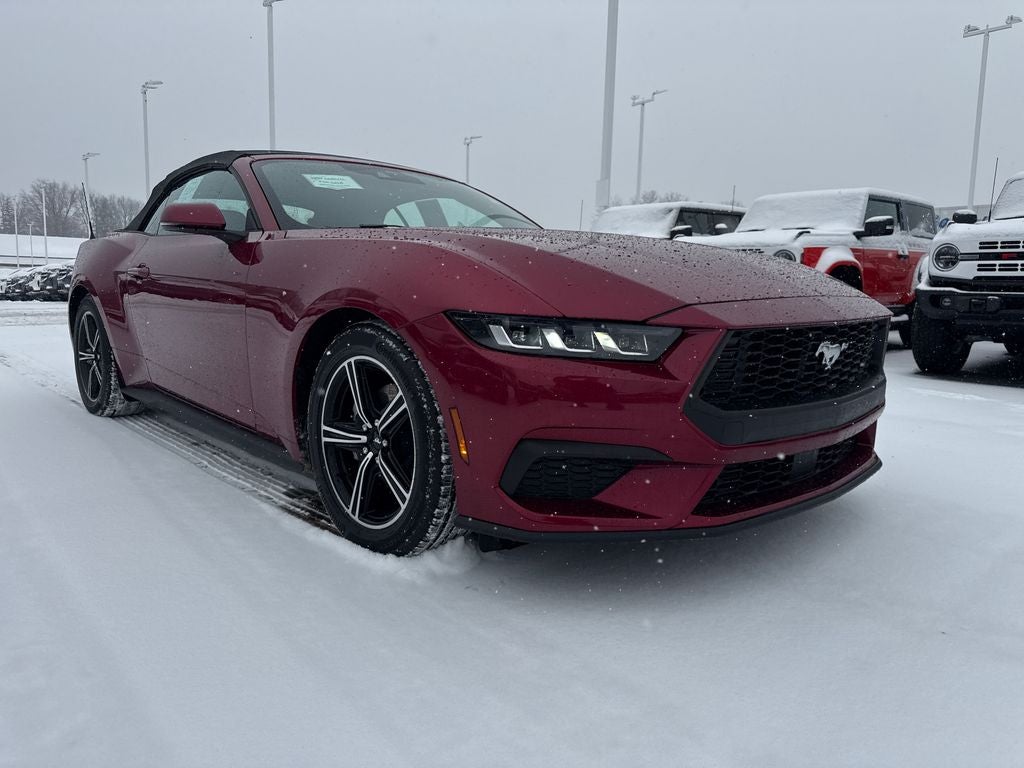 2025 Ford Mustang EcoBoost Premium