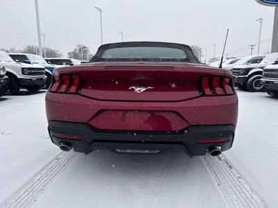 2025 Ford Mustang EcoBoost Premium