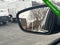 2025 Ford Escape Hybrid ST-Line Select