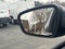 2025 Ford Escape Hybrid ST-Line Select