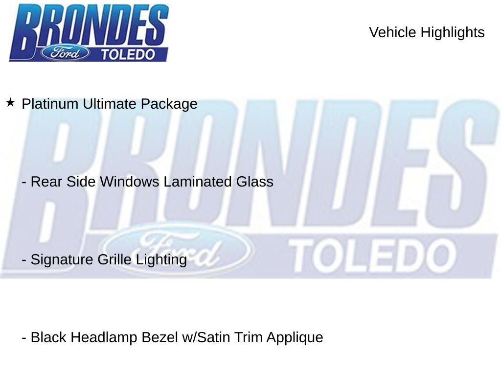 2025 Ford Expedition Max Platinum