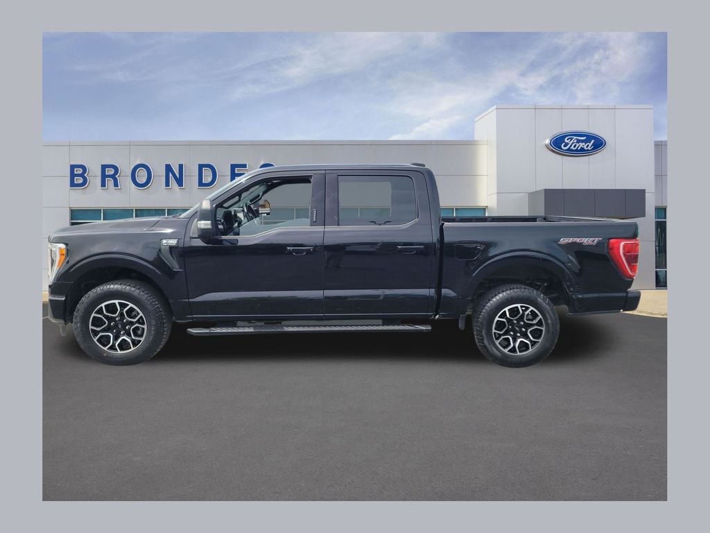 2023 Ford F-150 XLT