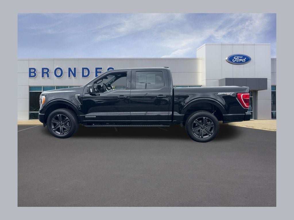 2023 Ford F-150 XLT