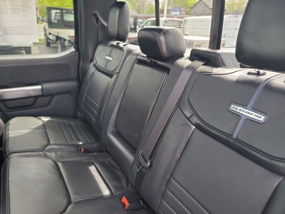 2024 Ford F-150 Platinum