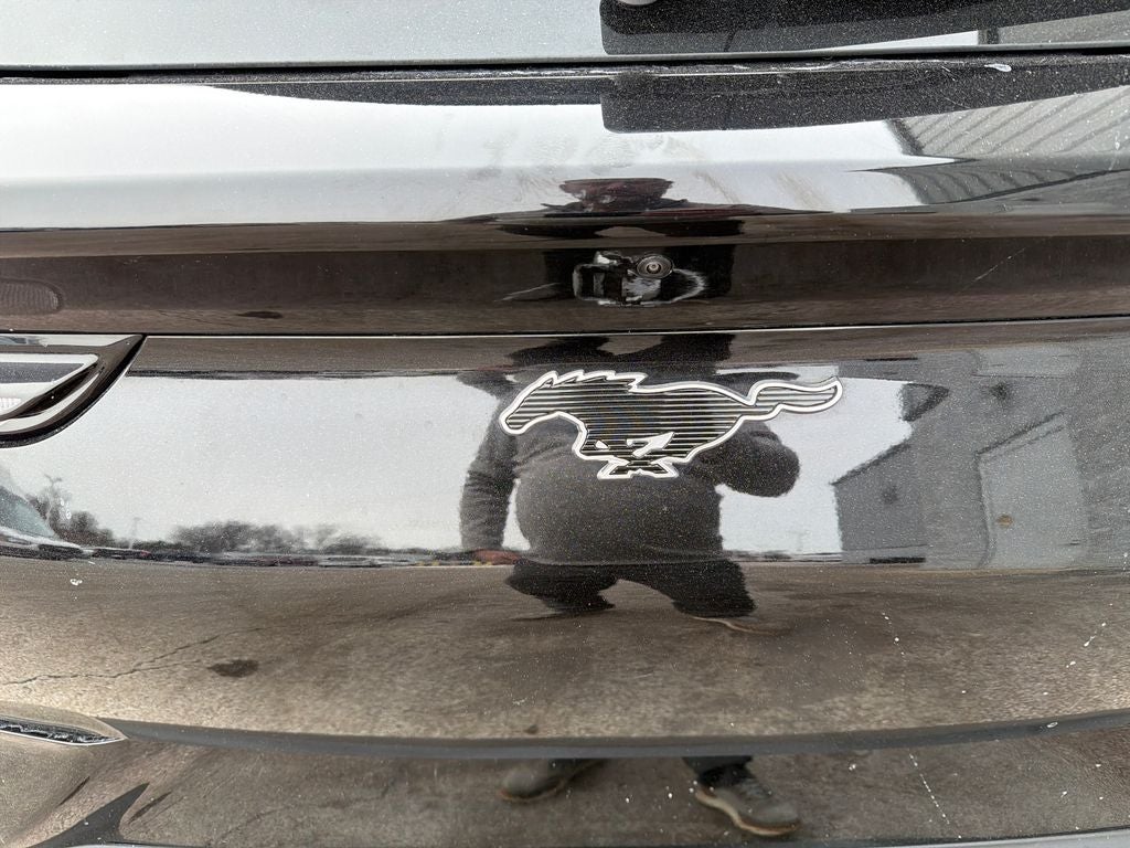 2025 Ford Mustang Mach-E Select