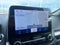 2020 Ford EcoSport SES